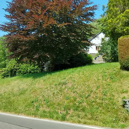 別荘 Eifel Waldhaus *